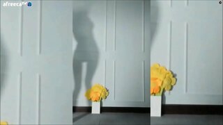 เซ็กซี่ของเงา