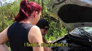 สุนัขไม่มีสัญญาณกันขโมยและ anal